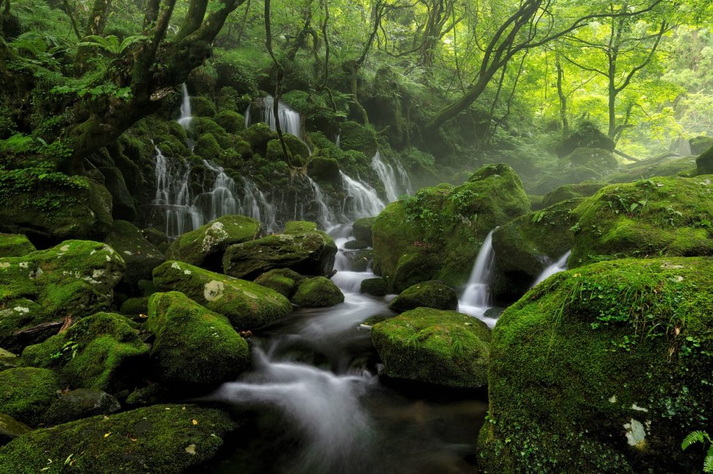 river, stream, spring