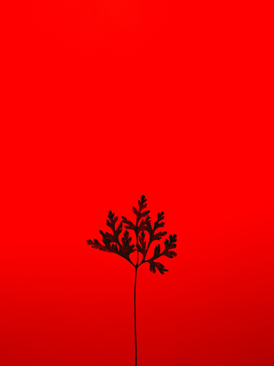red and black tree with red background